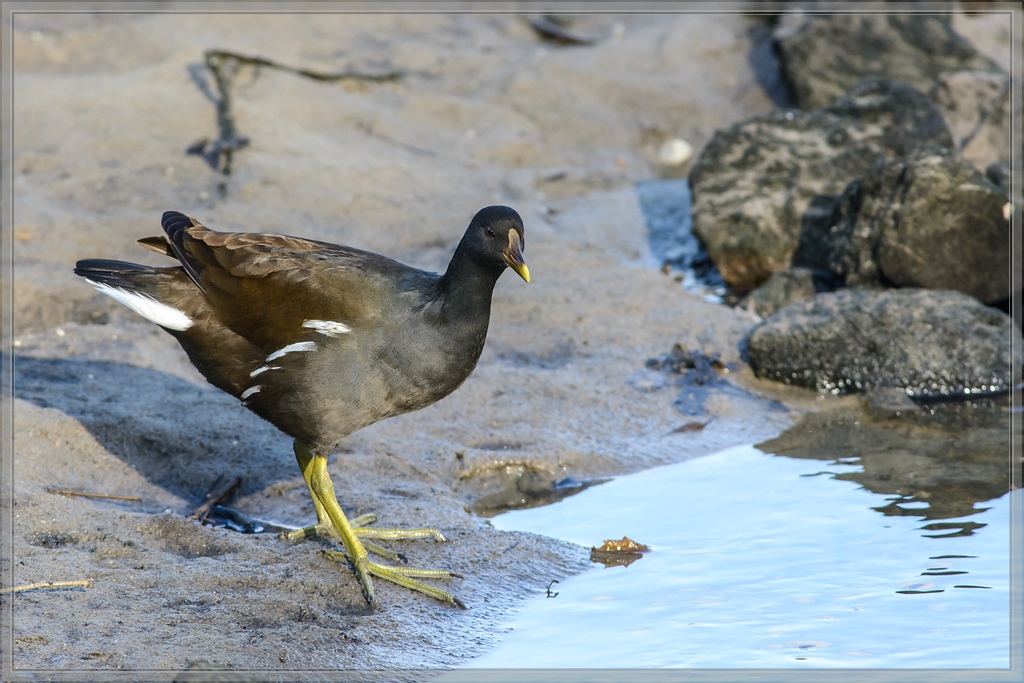 20141108 3304 [NIKON D7100] 500 mm,1 500 Sek. bei ƒ   8,0