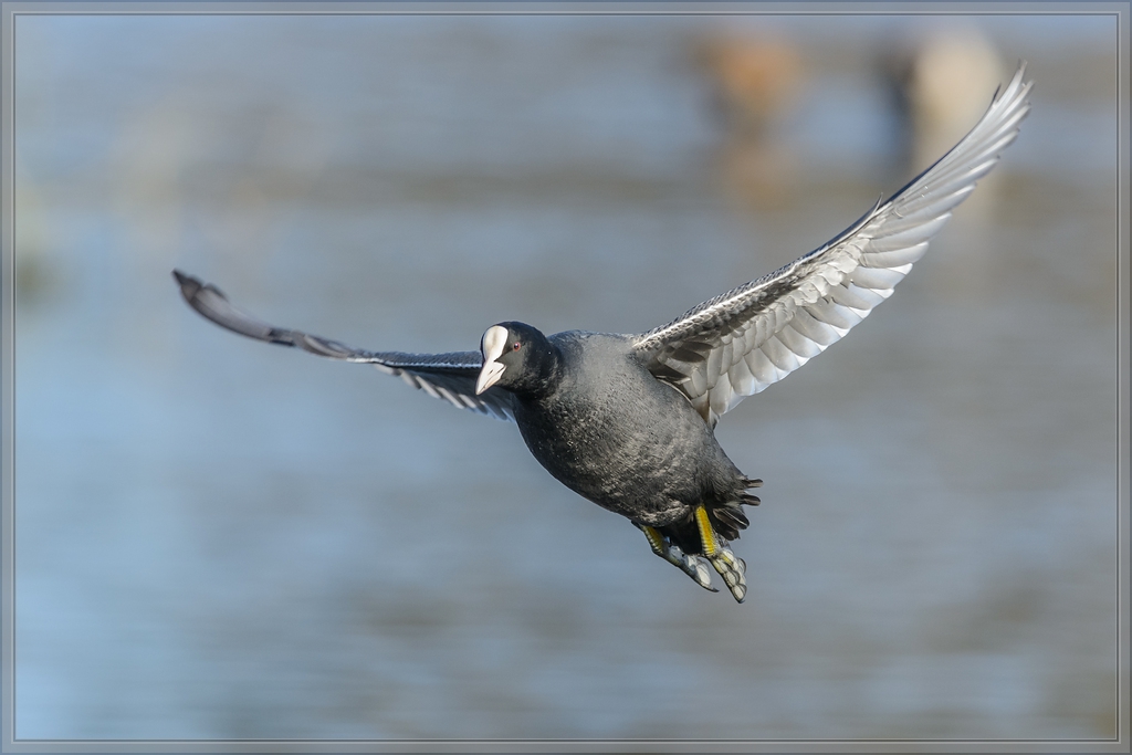20141108 3429 [NIKON D7100] 500 mm,1 1000 Sek. bei ƒ   8,0