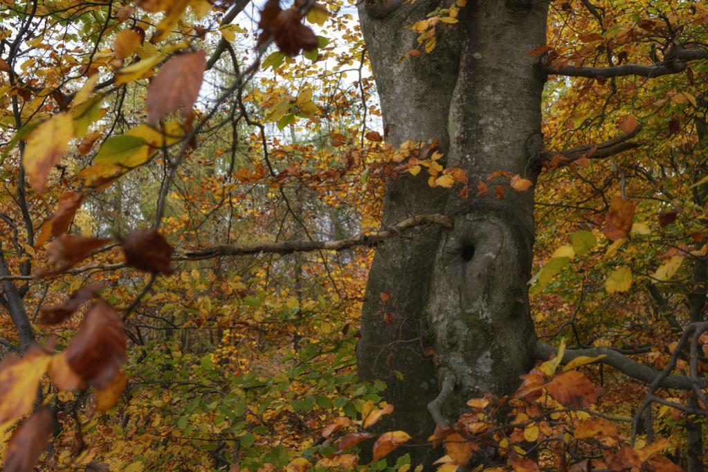 20141109 142726 web