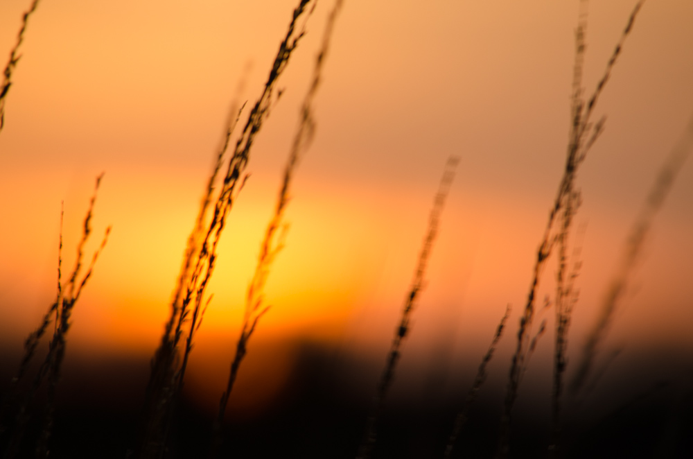 20141123 DSC 0003 2