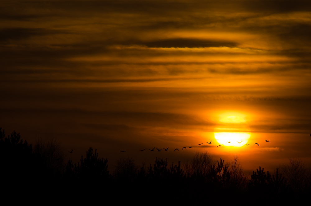 20141123 DSC 9964 2