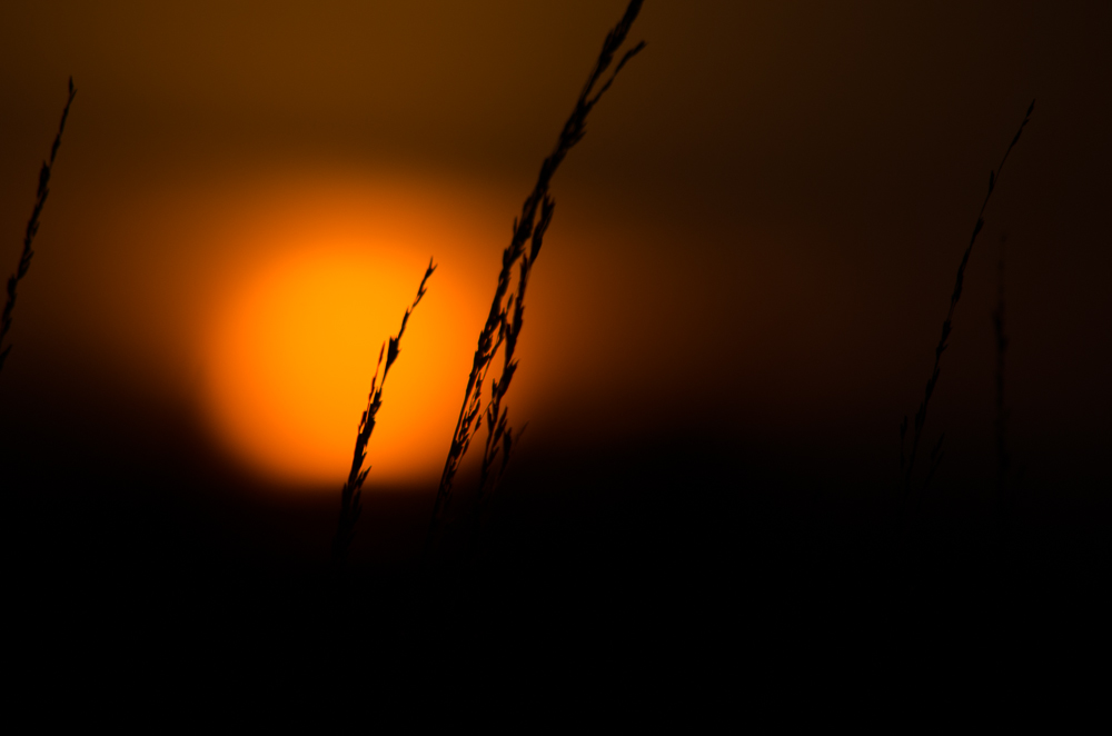20141123 DSC 9986 2