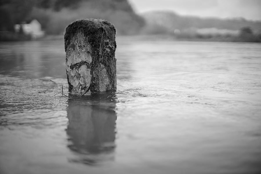 20141226 DSC01782