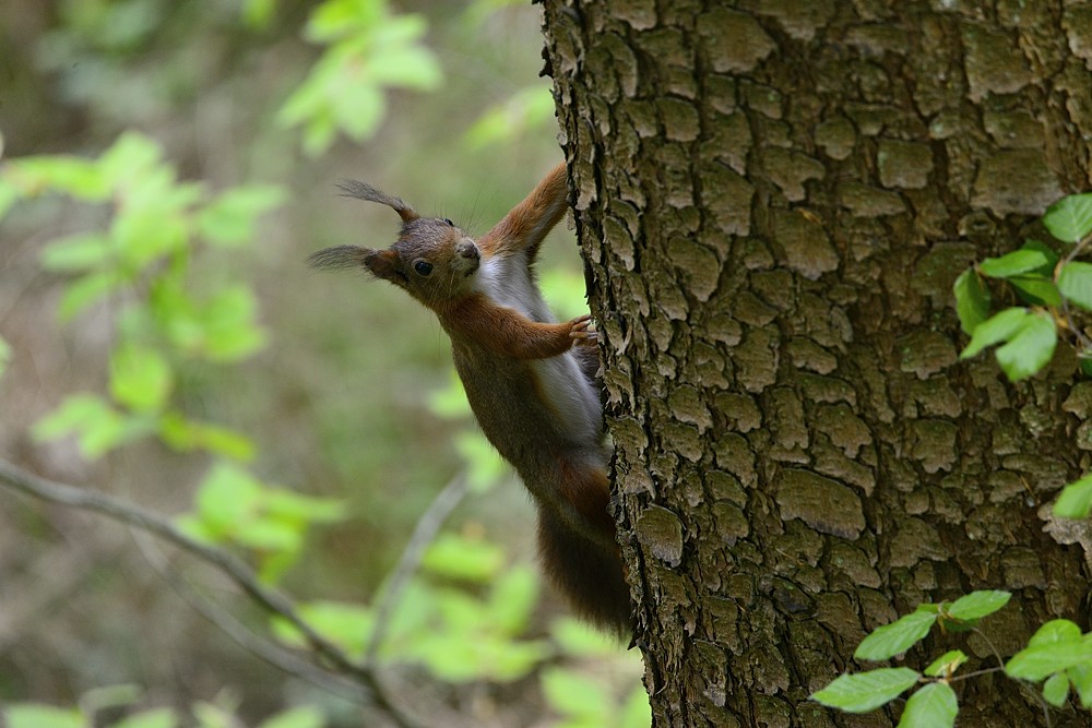 2015 07777