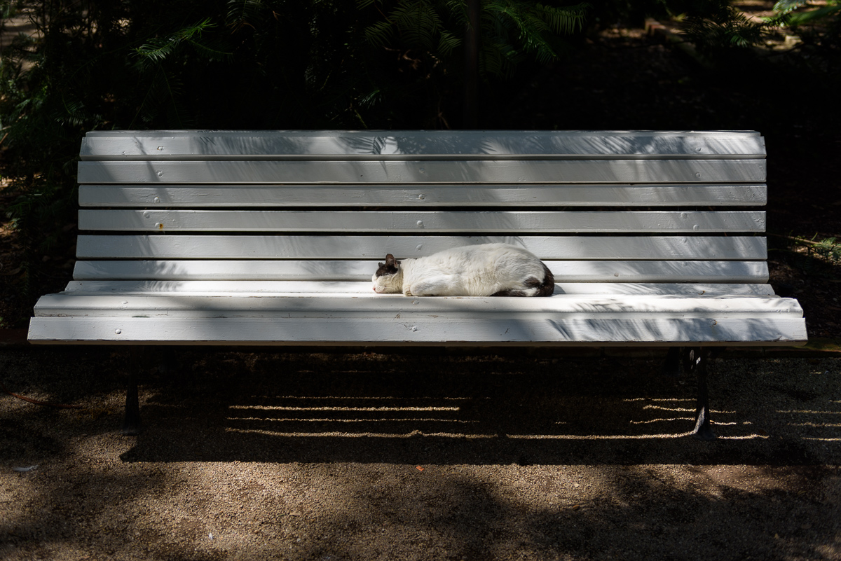 2015 09 13 13 44 47 DSC 5015
