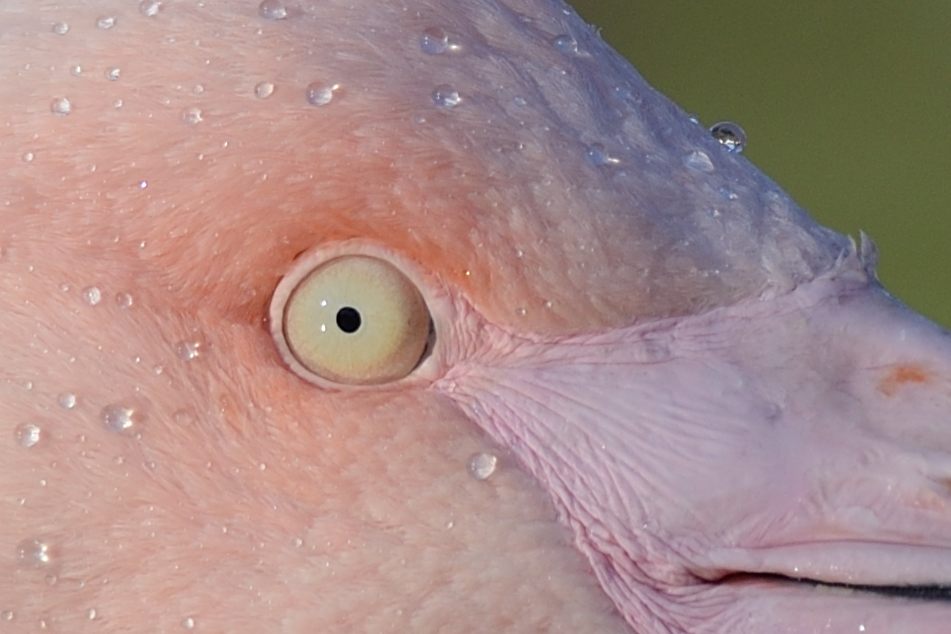 2015 12 28 13 34 02 D8E 2873  center crop