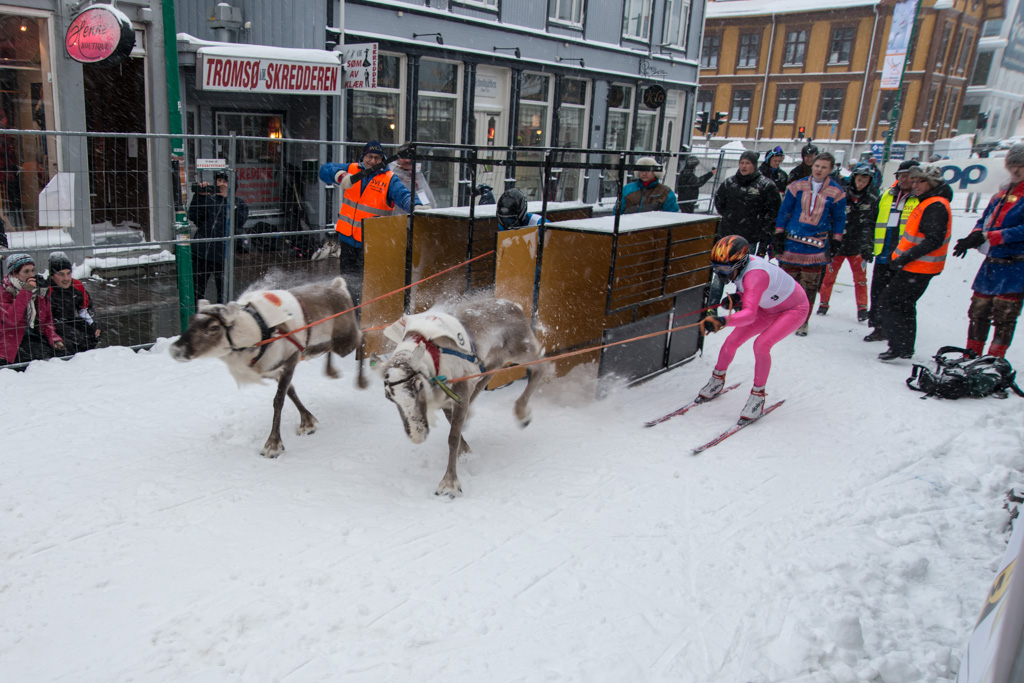 2015 Tromsö Rentierrennen 2