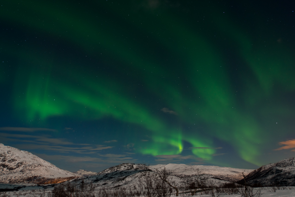 2015 Tromsø 123