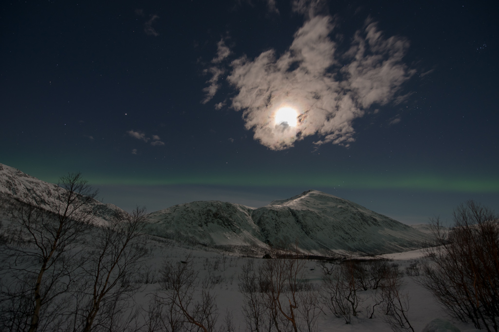 2015 Tromsø 126