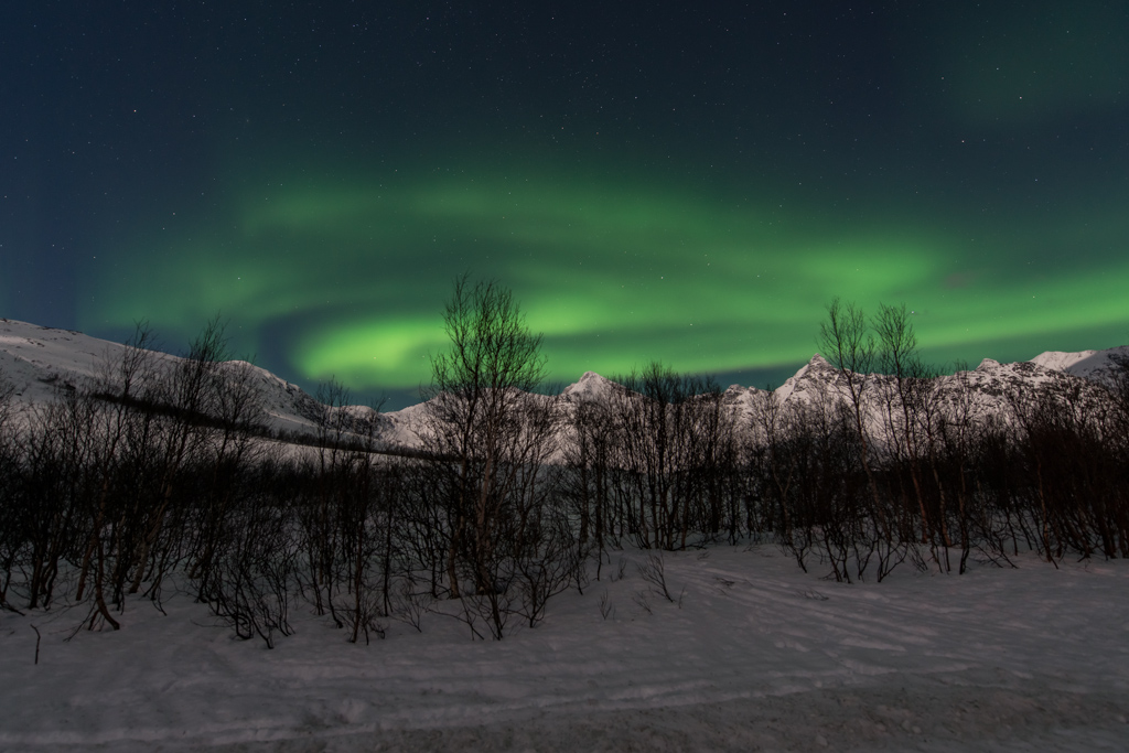 2015 Tromsø 127