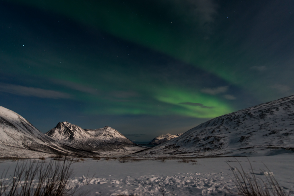 2015 Tromsø 167