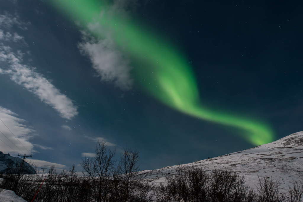2015 Tromsø 169