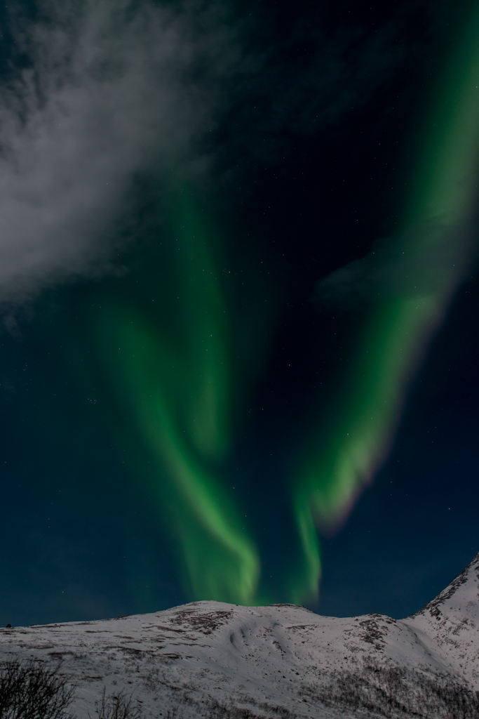 2015 Tromsø 173