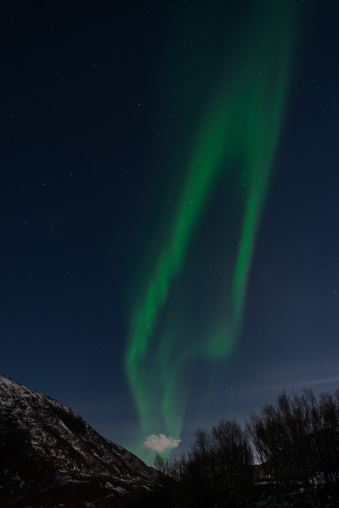 2015 Tromsø 201