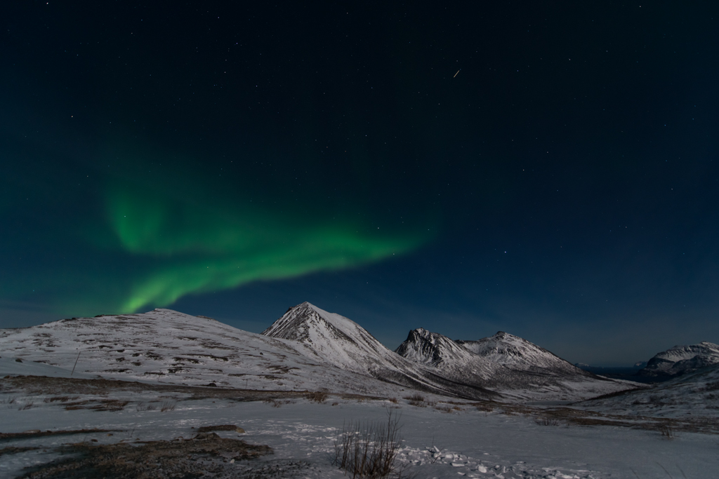 2015 Tromsø 208