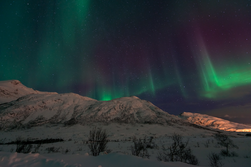 2015 Tromsø 239