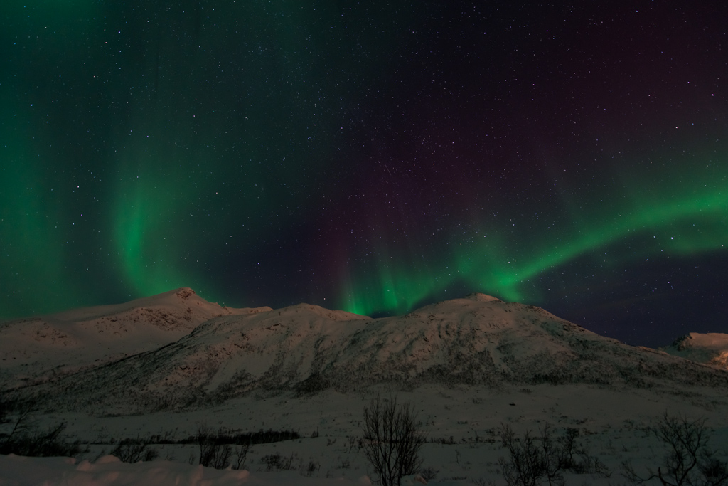 2015 Tromsø 241