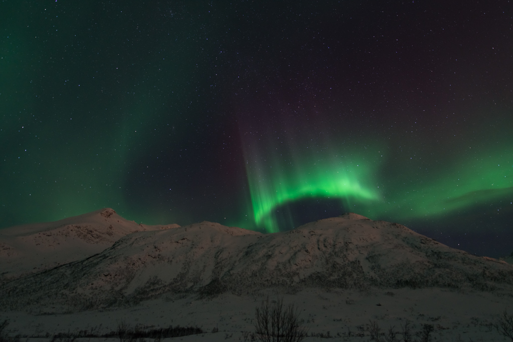 2015 Tromsø 244