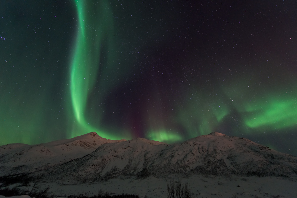 2015 Tromsø 252