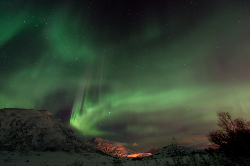 2015 Tromsø 257