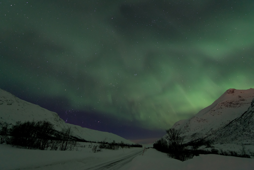 2015 Tromsø 262