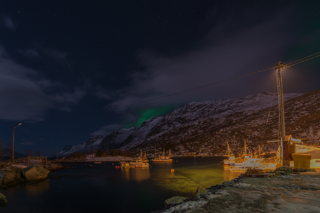 2015 Tromsø 28