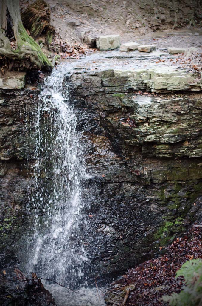 20150101 Extertal Patensteig Rickbach Rickbachfall (6) Forum