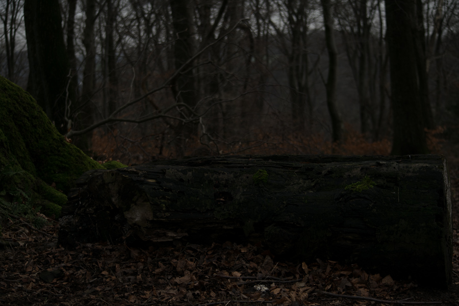 20150116 DSC 0170