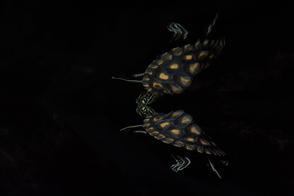 20150122 110050