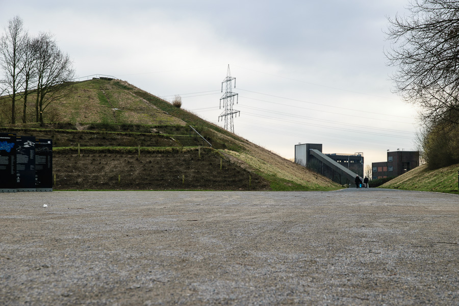 20150207 DSC 0264
