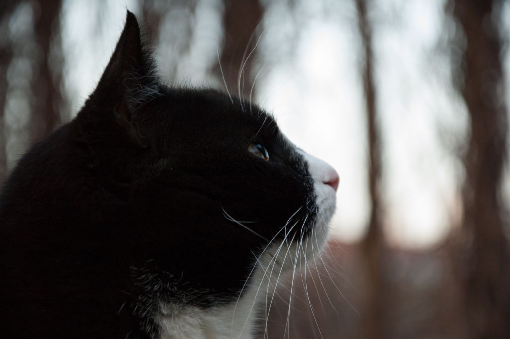 20150212 DSC 3090