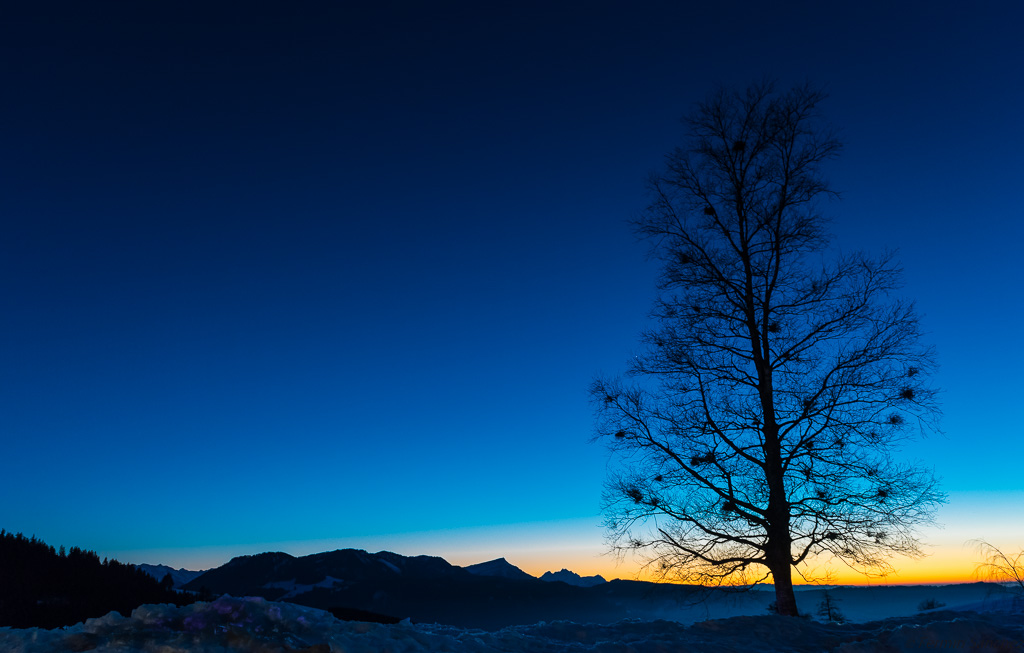 20150219 DSC1822