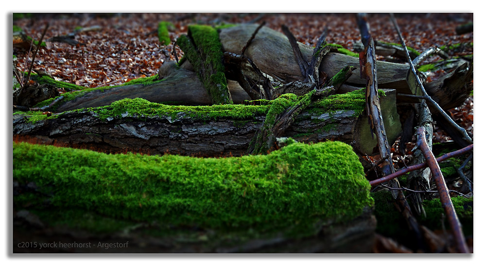 20150221 0030 Deister