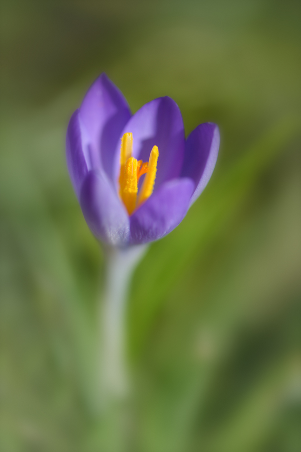 20150225 122611