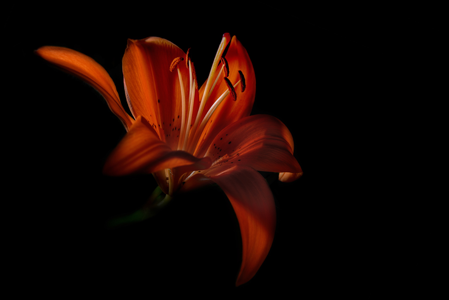 20150228 202425 web