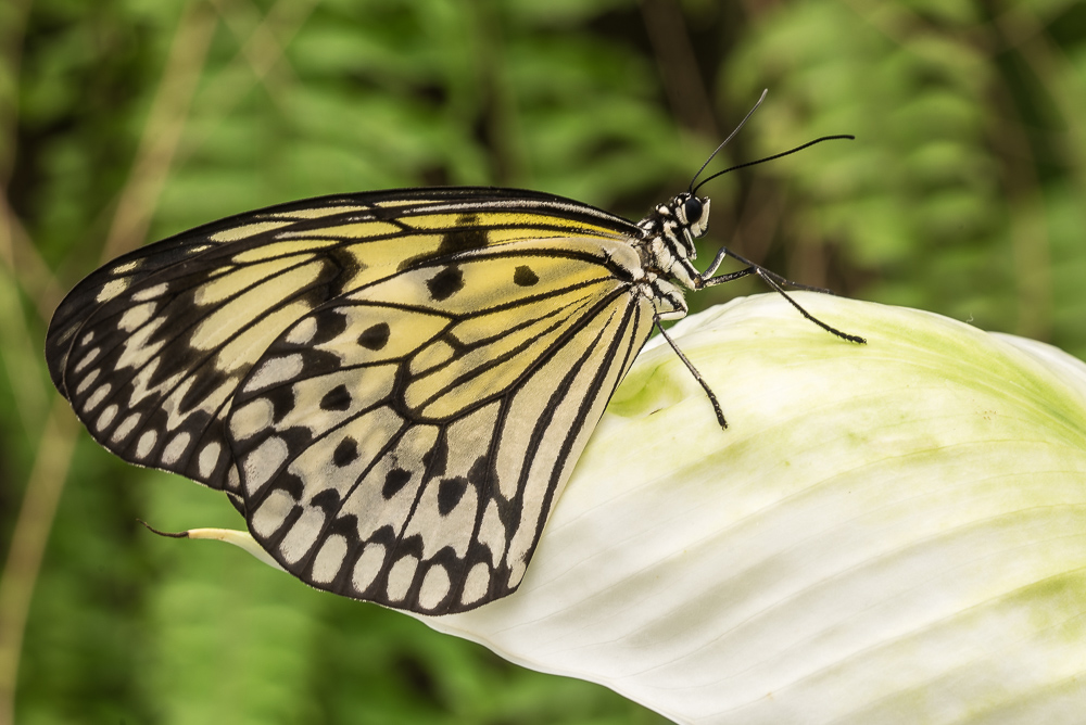 20150408  DHM5589