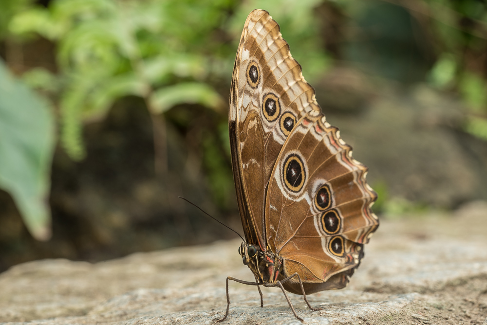 20150408  DHM5592
