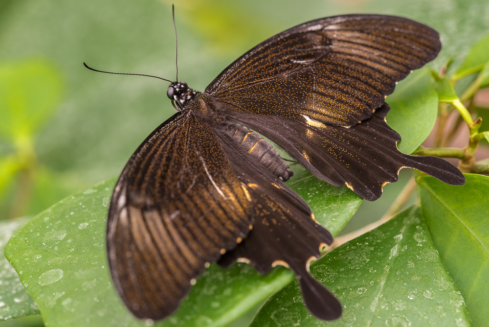 20150408  DHM5676