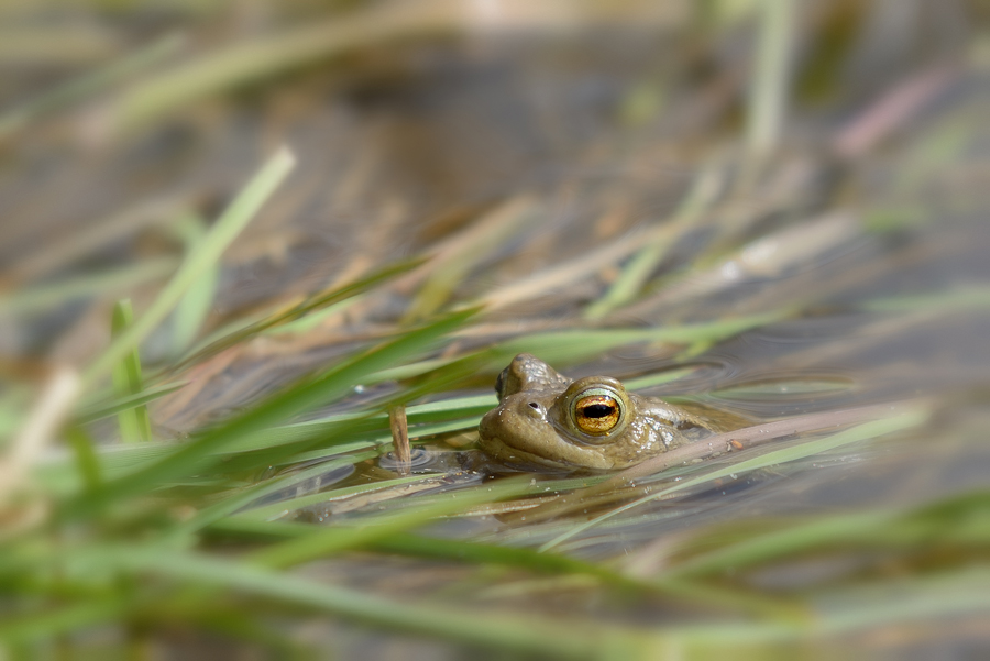 20150411 120828 web korrektur