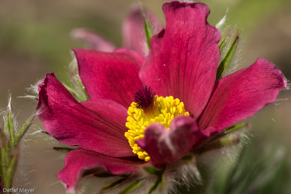 20150412  DHM6136