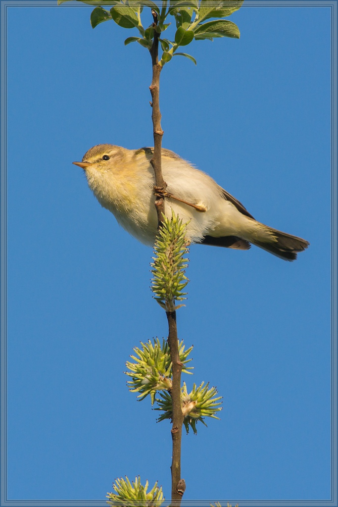 20150501 7433 [NIKON D7100] 500 mm,1 640 Sek. bei ƒ   8,0