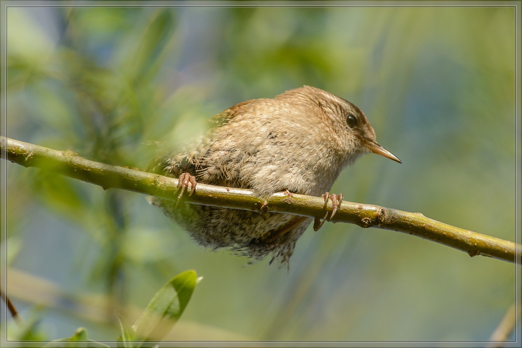 20150501 7675 [NIKON D7100] 500 mm,1 1000 Sek. bei ƒ   7,1