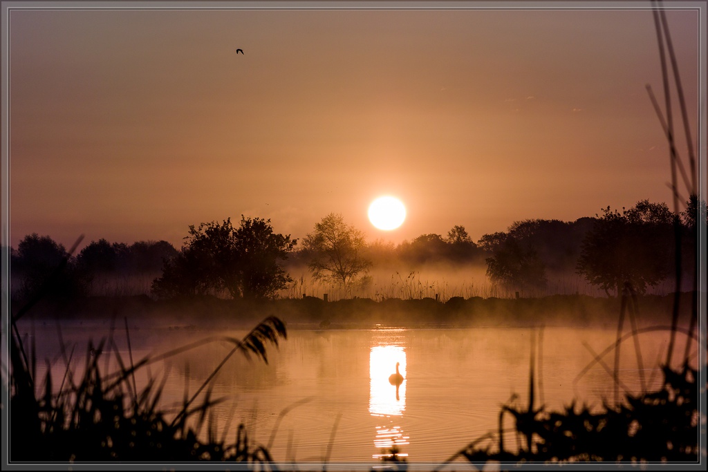 20150502 0516 [NIKON 1 V3] 70 mm,1 1000 Sek. bei ƒ   5,6