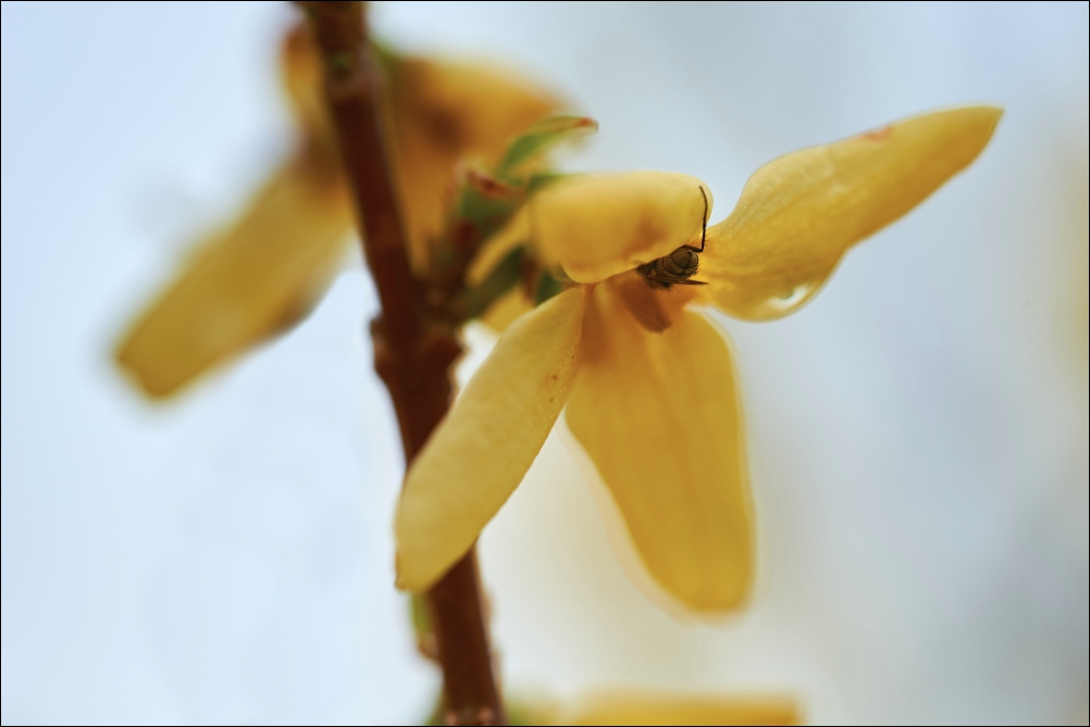 20150502 120024