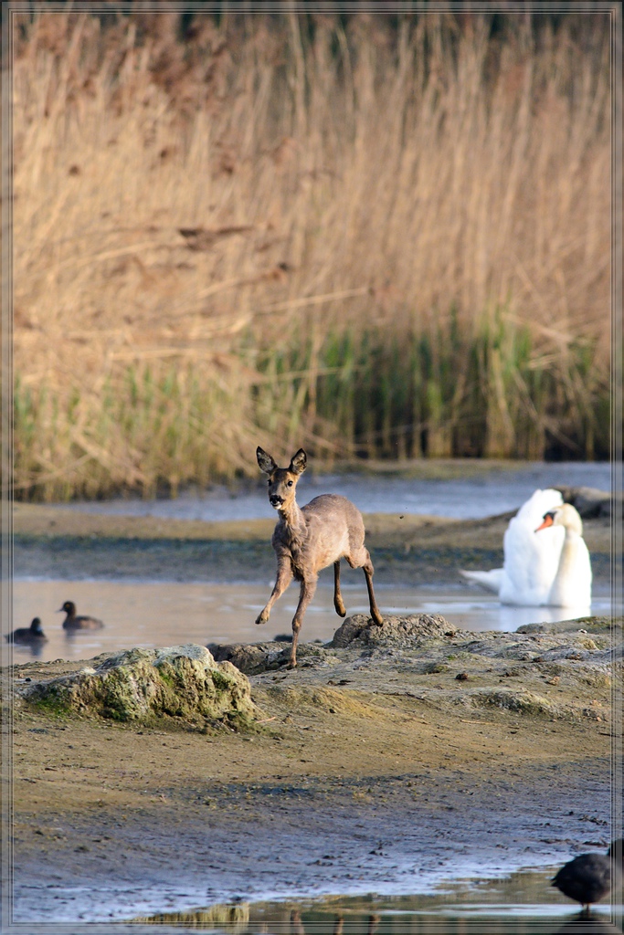 20150502 7915 [NIKON D7100] 500 mm,1 500 Sek. bei ƒ   8,0