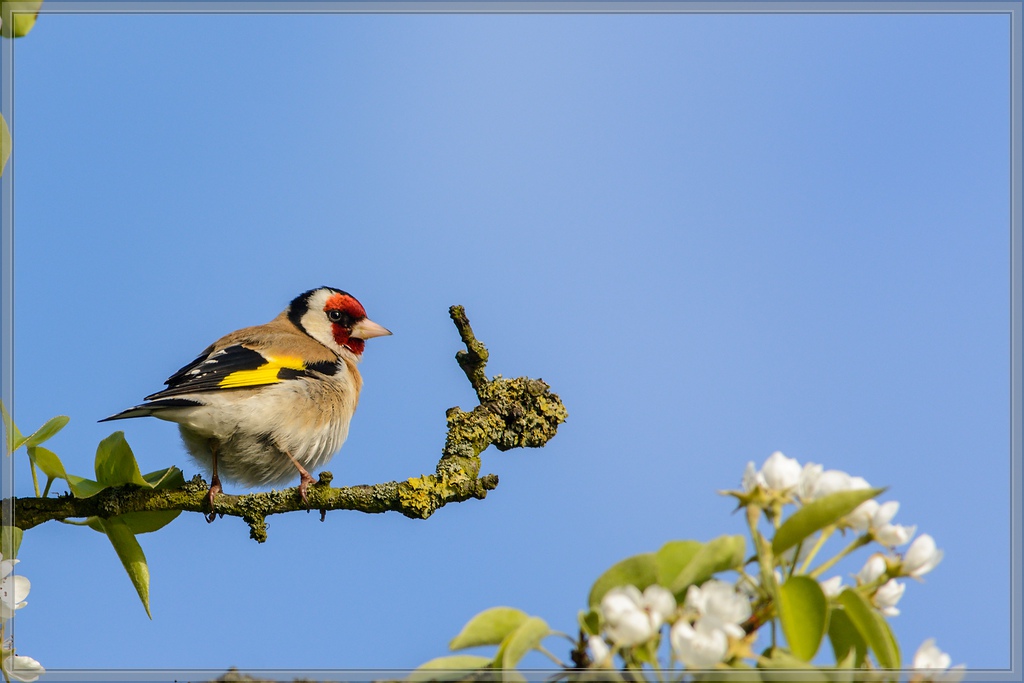 20150502 8014 [NIKON D7100] 500 mm,1 800 Sek. bei ƒ   8,0