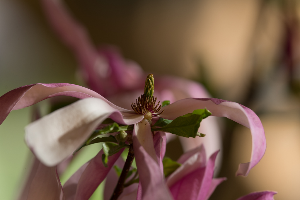 20150506 171714
