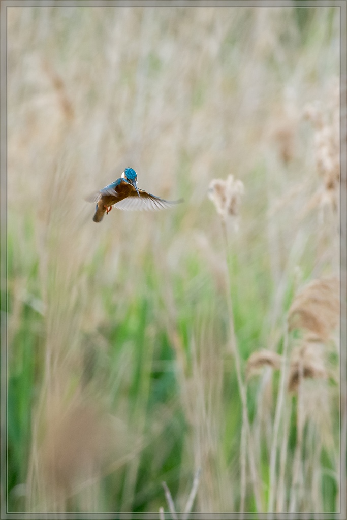 20150510 8235 [NIKON D7100] 500 mm,1 500 Sek. bei ƒ   8,0