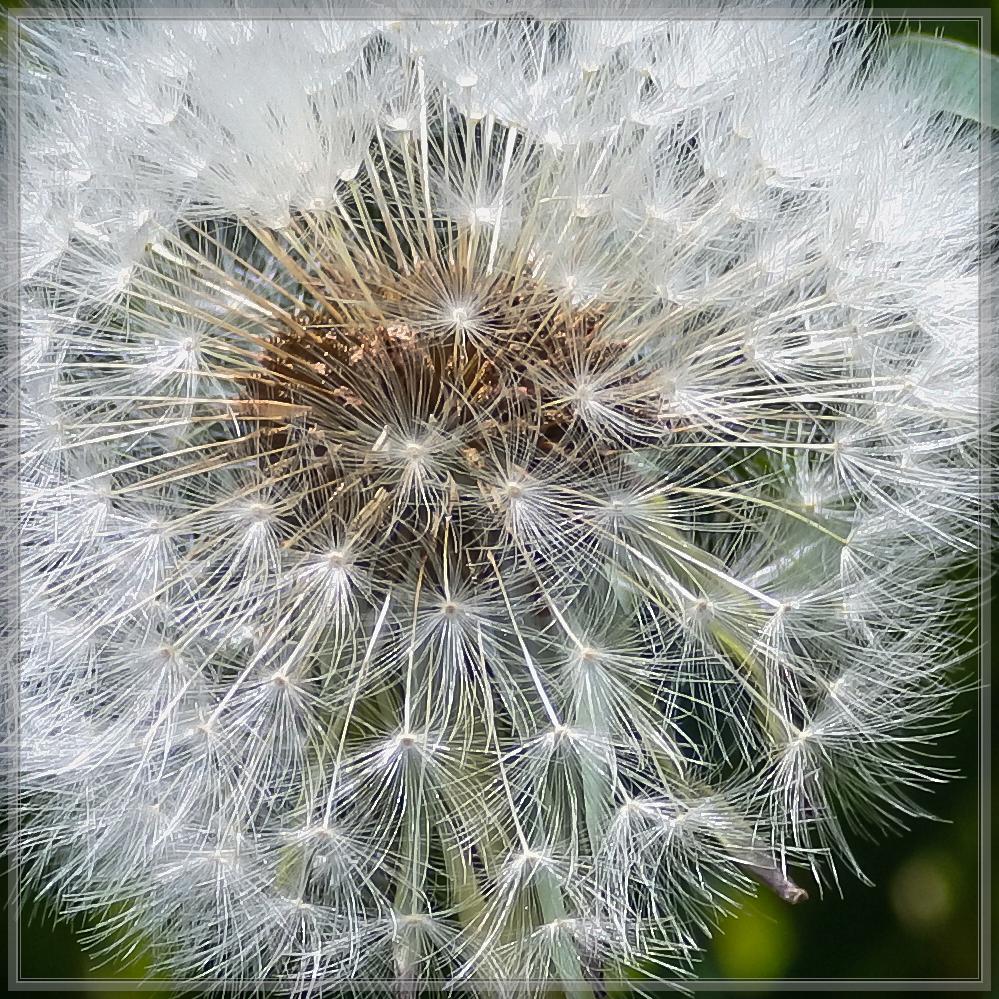 20150514 0137 [NIKON 1 J5] 70 mm,1 320 Sek. bei ƒ   5,6 2