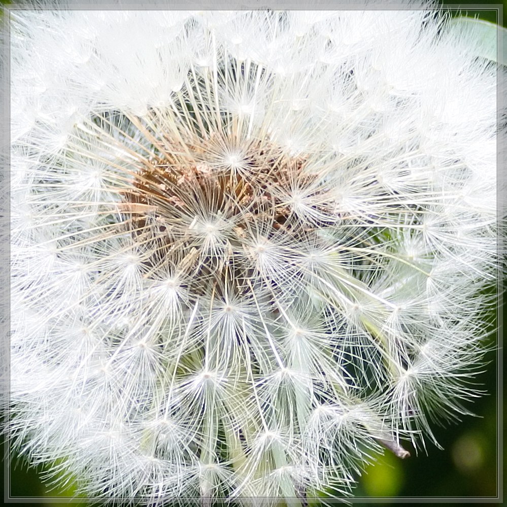 20150514 0137 [NIKON 1 J5] 70 mm,1 320 Sek. bei ƒ   5,6